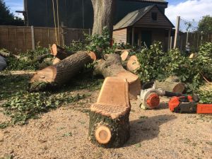 a seat carved from a log for donation to a local nursery