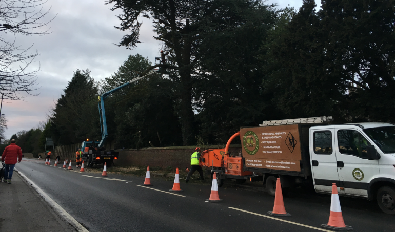 Pruning trees overhanging a road using a crane