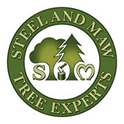 Contact, Tree Surgeon in York, Steel & Maw