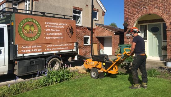 Grinding out a stump using specialist machinery