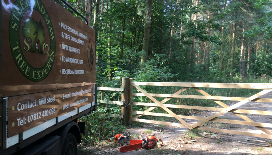 The Steel and Maw van on the edge of some woodland